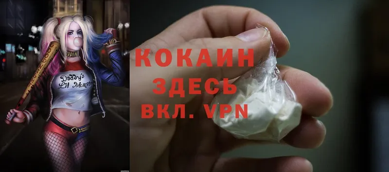 купить  цена  гидра сайт  Cocaine Эквадор  Салаир 